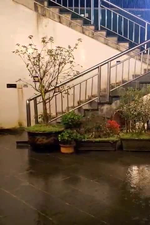 九华山柏玲民宿怎么样(住宿体验)