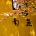 九华山六泉山庄怎么样(住宿体验)