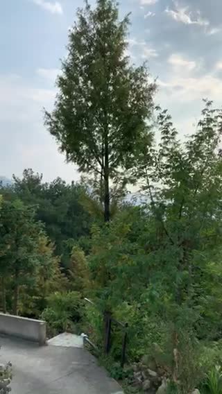 九华山军华山庄怎么样(住宿体验)