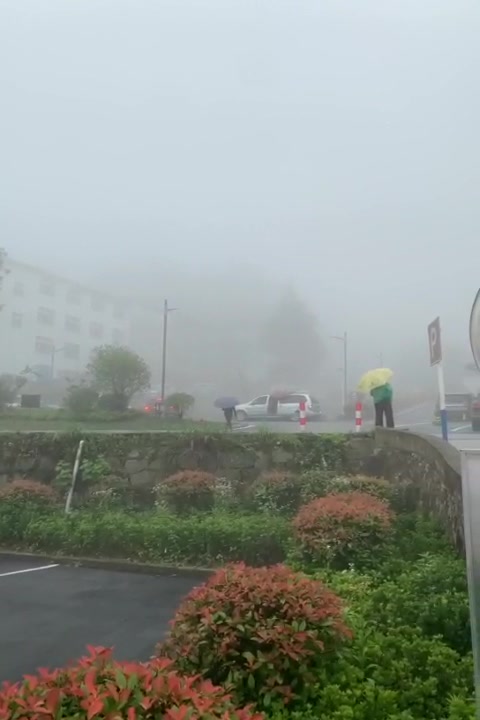 九华山山缘人家怎么样(住宿体验)