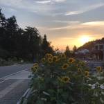 九华山福轩山庄怎么样(住宿体验)