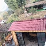 九华山南乡里民宿怎么样(住宿体验)