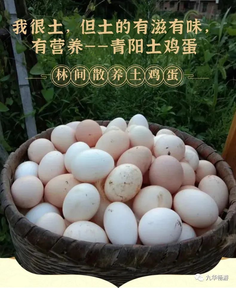 我很土，但我土的有滋有味，有营养——青阳土鸡蛋