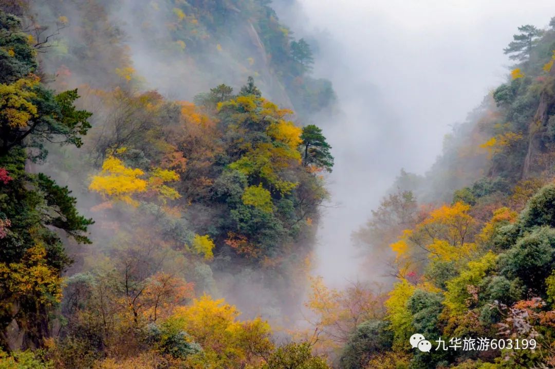 022年最新史上最全九华山攻略九华山旅游攻略九华山旅游路线"