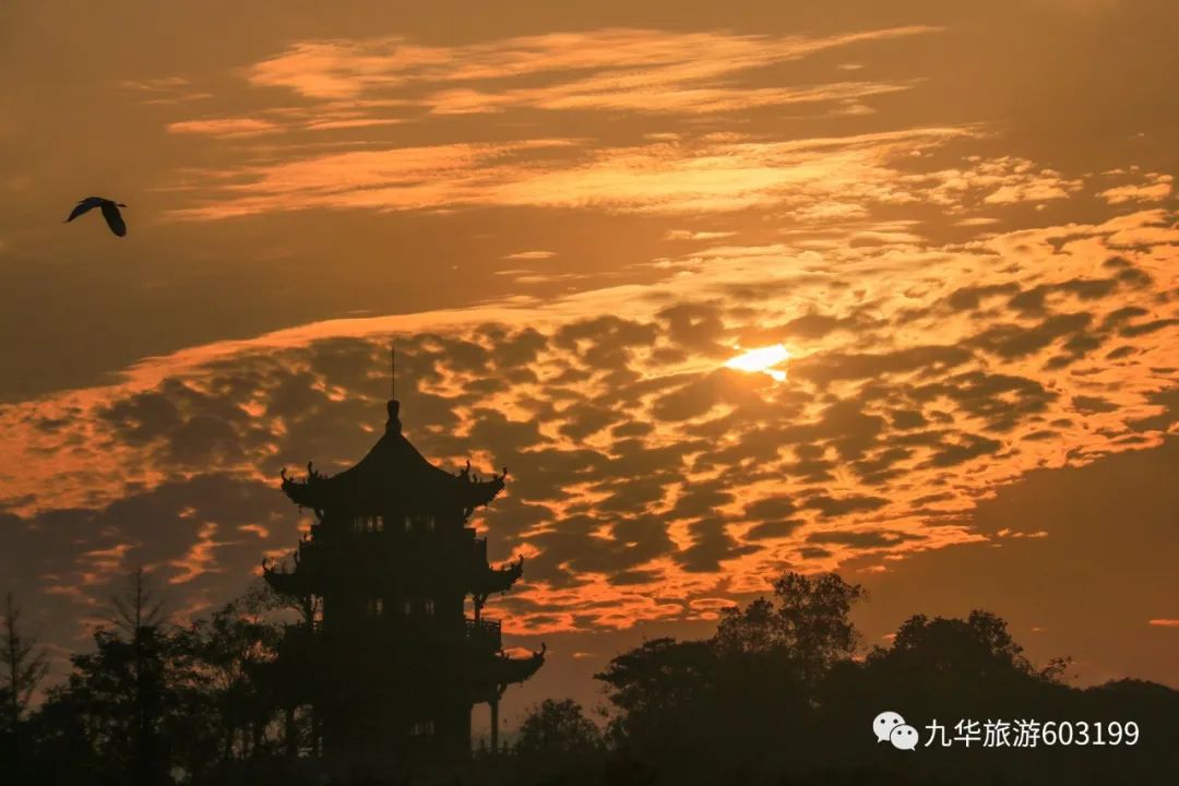022年最新史上最全九华山攻略九华山旅游攻略九华山旅游路线"