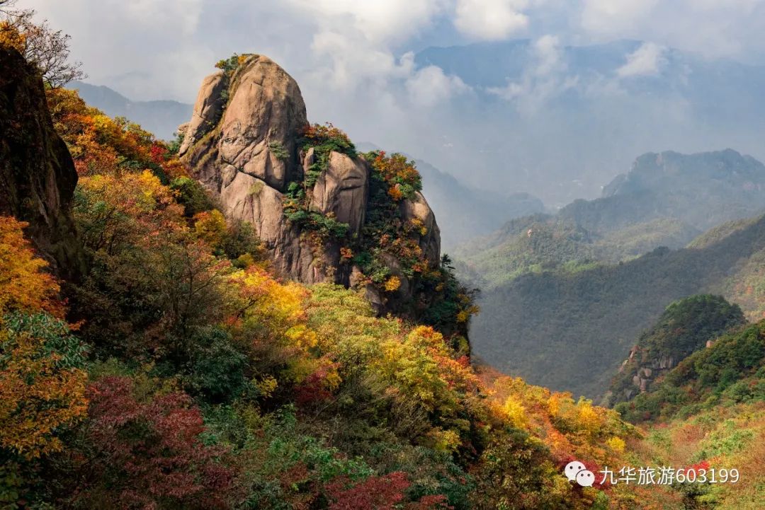 这，就是九华山的秋色